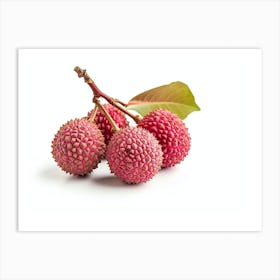 Lychee Fruit 3 Art Print