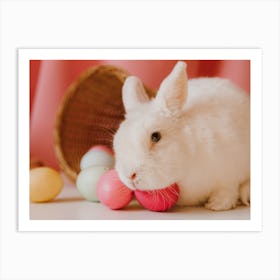 Easter Bunny 11 Art Print