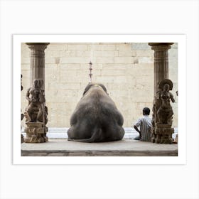 The Elephant And Its Mahot Art Print