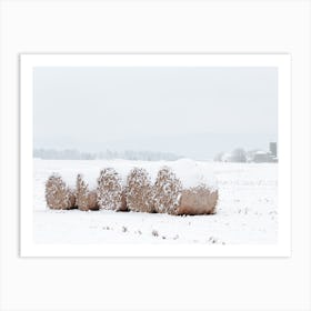 Snow Covered Round Bales Art Print