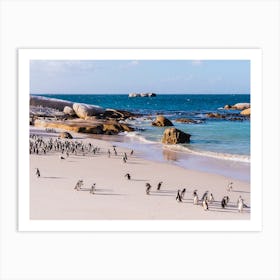 Penguins On The Beach Art Print