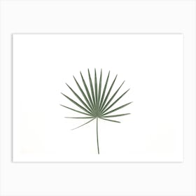 Single Palm Art Print