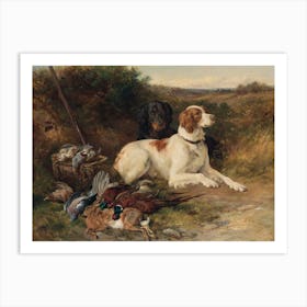 Dog And Pheasant Art Print