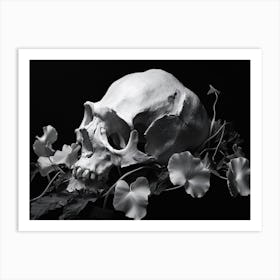 Skull And Flowers 2 Art Print