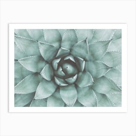 Desert Succulent Art Print