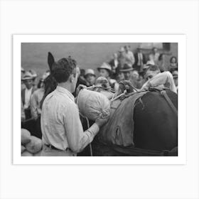 Silverton, Colorado, Labor Day Celebration, Contestant Tying Sacks Of Ore Onto A Burro In A Contest By Russe Art Print