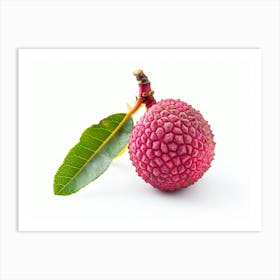 Lychee Fruit 12 Art Print