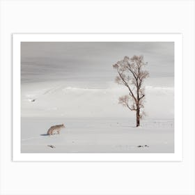 Traveling Coyote Art Print