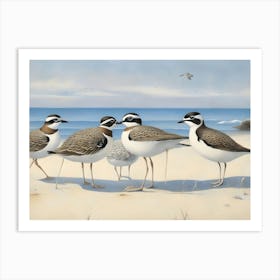 Gulls On The Beach 1 Art Print