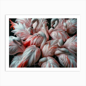 Flamingos Art Print