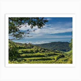 Vineyards In The Mountains Art Print