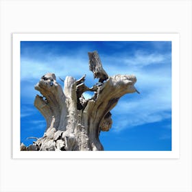 Dead Tree Against Blue Sky Art Print