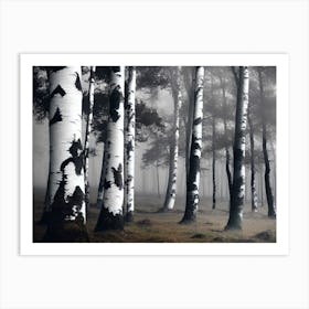 Birch Forest 99 Art Print