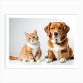 Dog And Cat 04 Art Print