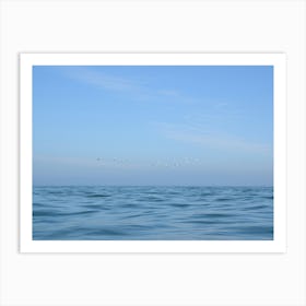 Gannets flying over a calm blue sea - summer ocean and coastal nature and travel photography by Christa Stroo Photography Art Print