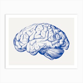 Brain Illustration blue Art Print