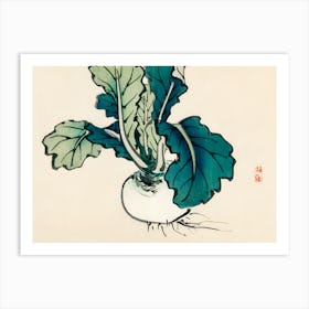 Radish Art Print