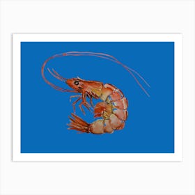 Blue Shrimp Art Print