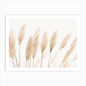 Soft Pampas Art Print