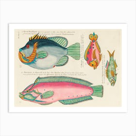 Colourful And Surreal Illustrations Of Fishes Found In Moluccas (Indonesia) And The East Indies, Louis Renard(89) Art Print