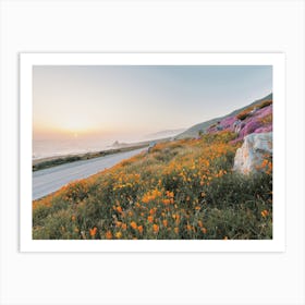 Wildflowers On Highway Art Print