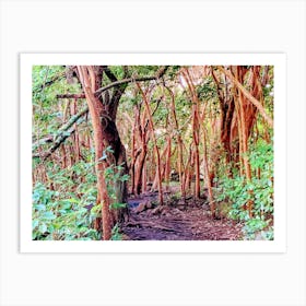 Hawaiian Forest (Maui Series) Art Print