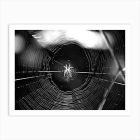 Spider Web BW Art Print