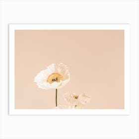 White And Yellow Flower Art Print