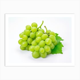 Green Grapes On White Background Art Print