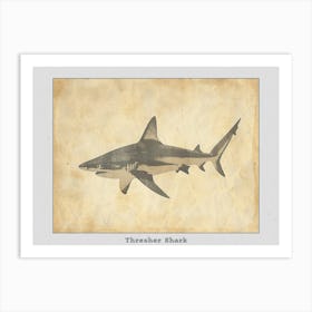 Thresher Shark Silhouette 7 Poster Art Print