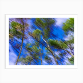 Blue Sky With Trees 202403031458126rt1pub Art Print