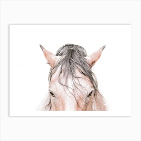 Horse's Head Art Print