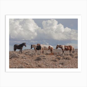 Onaqui Wild Horses Art Print