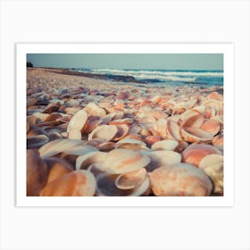 Sea Shells On The Beach 2 Art Print