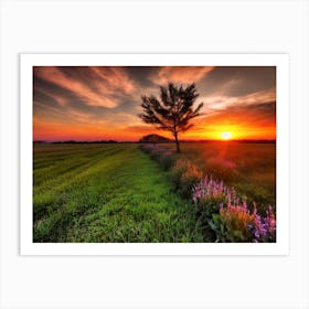 Sunset In The Field 7 Art Print