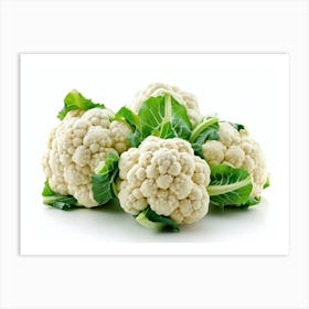 Cauliflower 6 Art Print