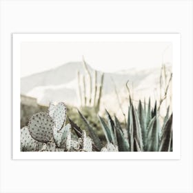 Desert Cactus Scene Art Print