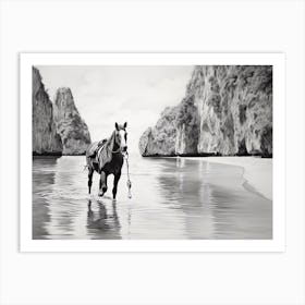 A Horse Oil Painting In Maya Bay, Thailand, Landscape 3 Art Print