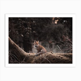 Forest Red Fox Art Print