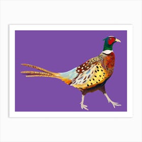 Pheasant on Purple Art Print