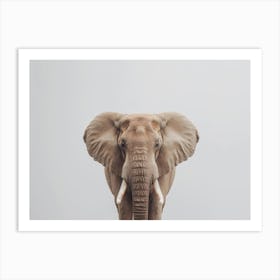 Elephant In The Grass Art Print