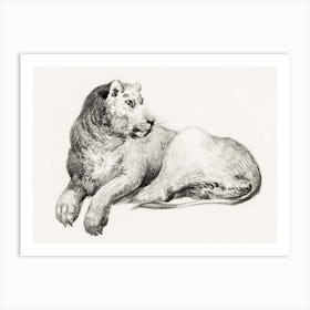 Lying Lion 1, Jean Bernard Art Print