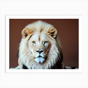 Lion Portrait 37 Art Print