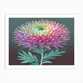 Chrysanthemum 9 Art Print