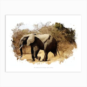 Parc National De La Pendjari, Benin, Africa Art Print