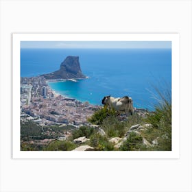 Male mountain goat looks at the Mediterranean coast in Calpe Art Print