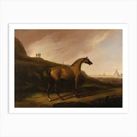 Vintage Painting Horse In The Desert Art Print