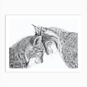 2 Lynx In Love Black And White Art Print