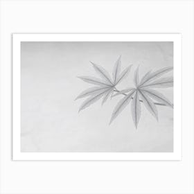 Marijuhana Cannabis Leaf Minimal Drawing Art Print