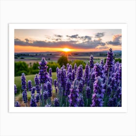 Sunset Over Lavender Fields Art Print